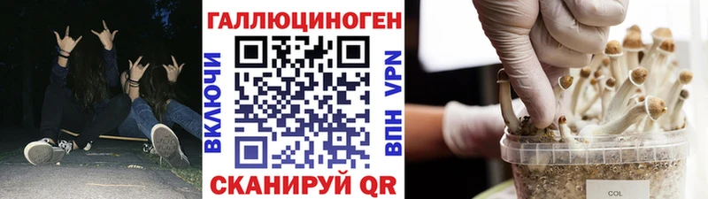 Псилоцибиновые грибы Magic Shrooms  Осинники 